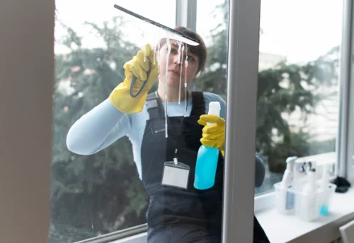 Nettoyage de vitres intérieures et extérieures à Créchy